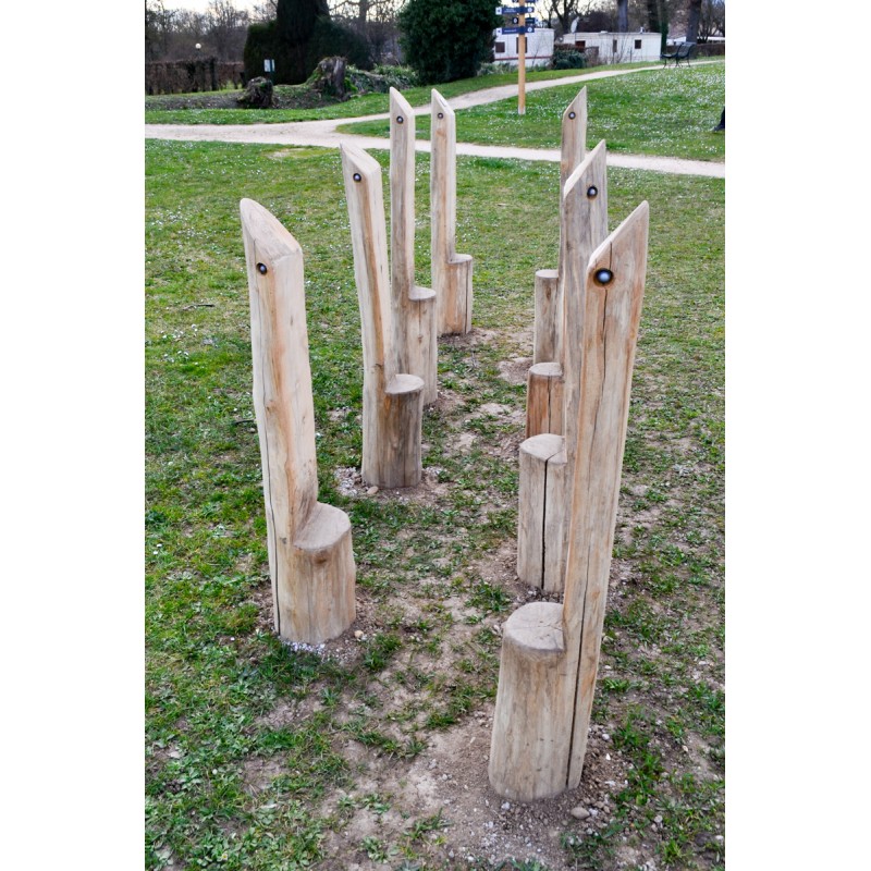 Echassiers module ludique d'équilibre