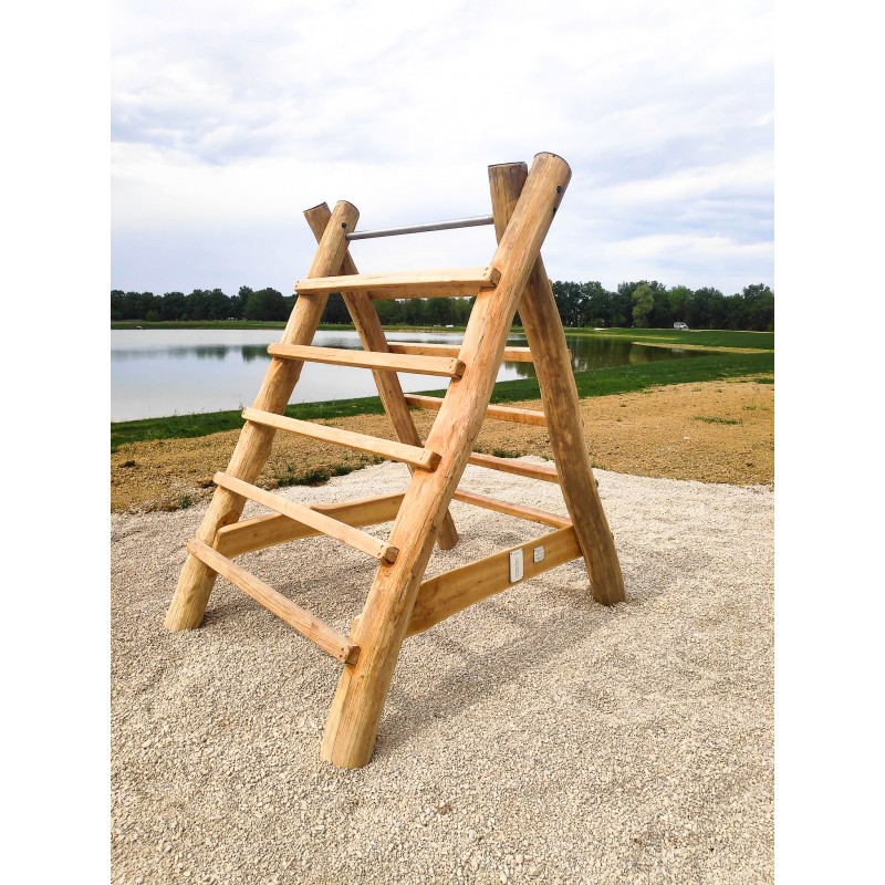 Module réaliser en robinier massif