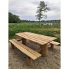 Table forestière de pique nique