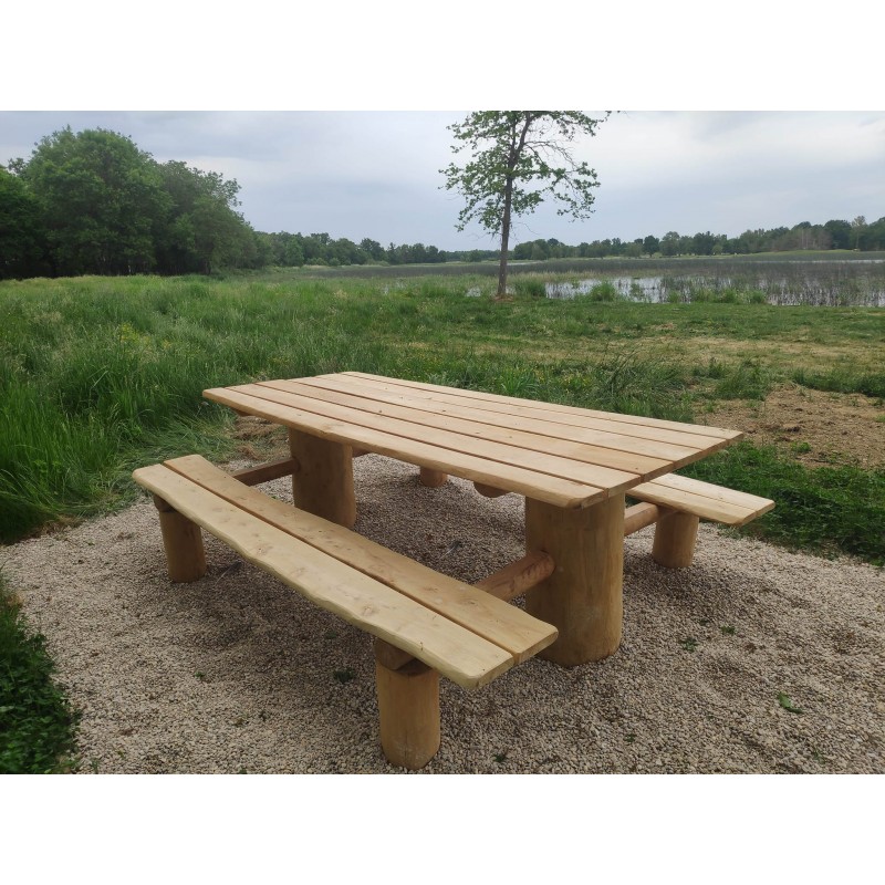 Table pique naturelle en Robinier