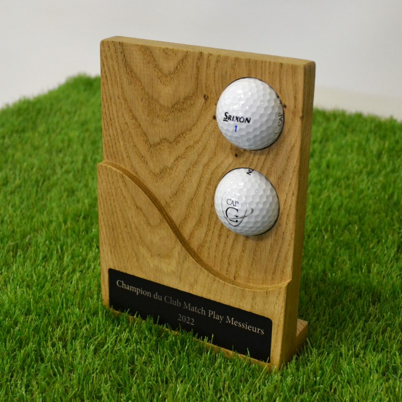 Remise de prix - trophée unique